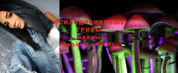 прущие грибы Абдулино