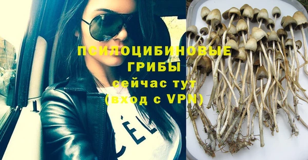 мдпв Абаза