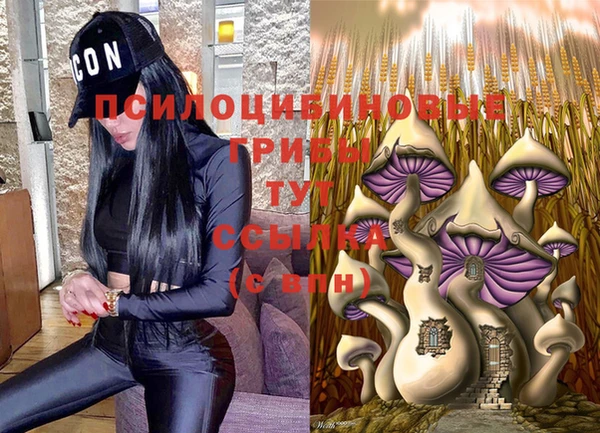 мдпв Абаза