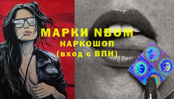 амф Пестово