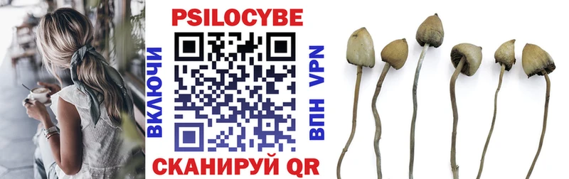 Псилоцибиновые грибы прущие грибы  Агрыз 